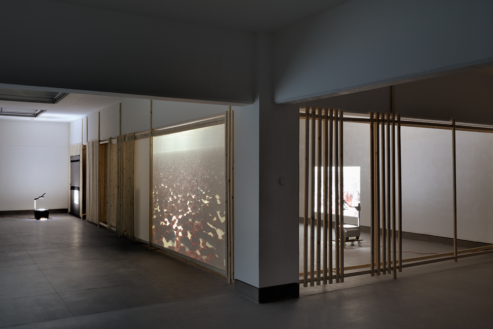 foto: manfred bogner, berlin