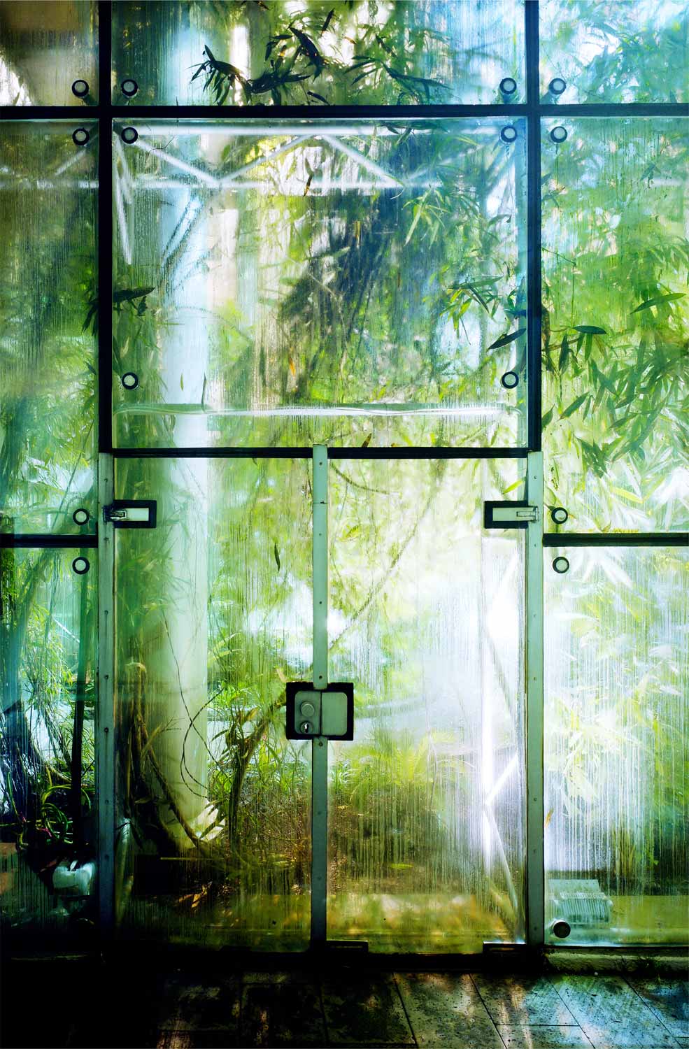 foto: manfred bogner, berlin, bei licht betrachtet