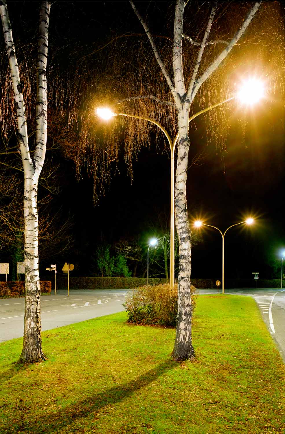 foto: manfred bogner, berlin, bei licht betrachtet