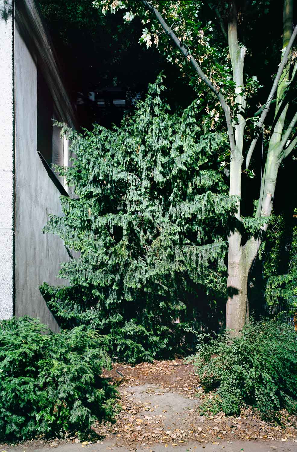 foto: manfred bogner, berlin, bei licht betrachtet